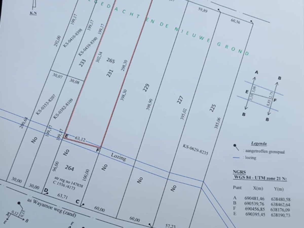 Grondhuur, Domburg, La Recontre 6e zijstraat. Perceel nr 84 (45x254m). Goed onderhouden met fruitbomen als Citrus, Mope, Manja, Sweetbonki, Awara, Co - Hoofdfoto