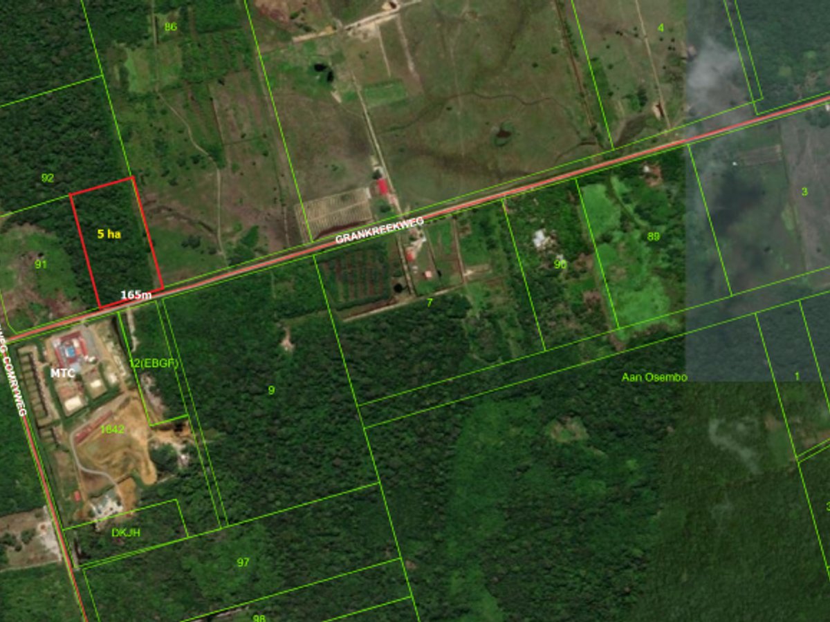 Grondhuur, Wirantalaan 7470m2. aan de Misgunstweg (dichtbij Groningen). 300m vanaf de hoofdweg. Het terrein zit vol met fruitbomen zoals: Pompelmoes - Hoofdfoto