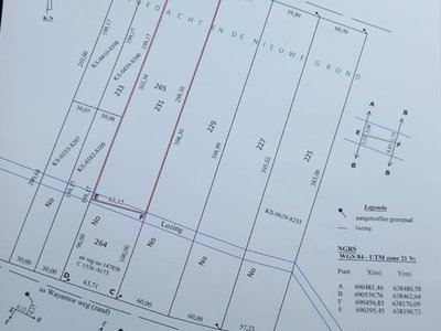 Grondhuur, Domburg, La Recontre 6e zijstraat. Perceel nr 84 (45x254m). Goed onderhouden met fruitbomen als Citrus, Mope, Manja, Sweetbonki, Awara, Co - Foto 1