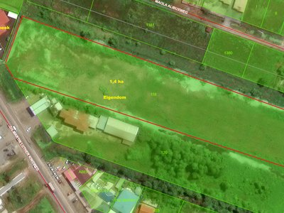 Grondhuur, verl. Welgedacht C weg , groot 1.86 ha. Weiland met koeien. Zeer geschikt voor verkaveling - Foto 1