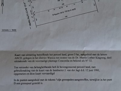 Grondhuur, verl. Welgedacht C weg , groot 1.86 ha. Weiland met koeien. Zeer geschikt voor verkaveling - Foto 2